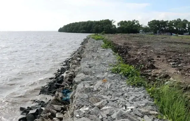 Rọ đá ứng dụng trong kè bờ - Giải pháp Xanh cho Tương lai