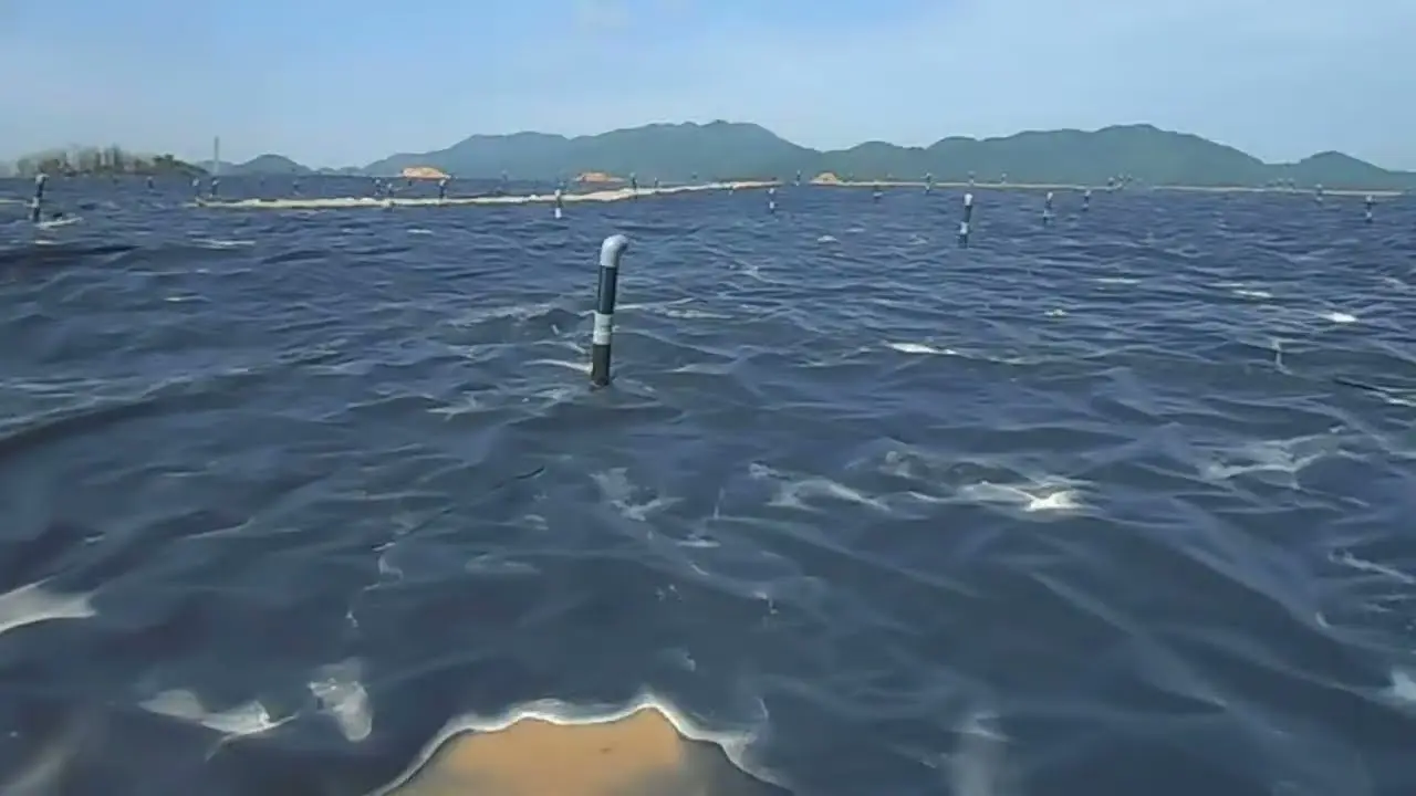 Màng Chống Thấm HDPE Thiết Kế Cho Đập Đất - Giải Pháp Bền Vững