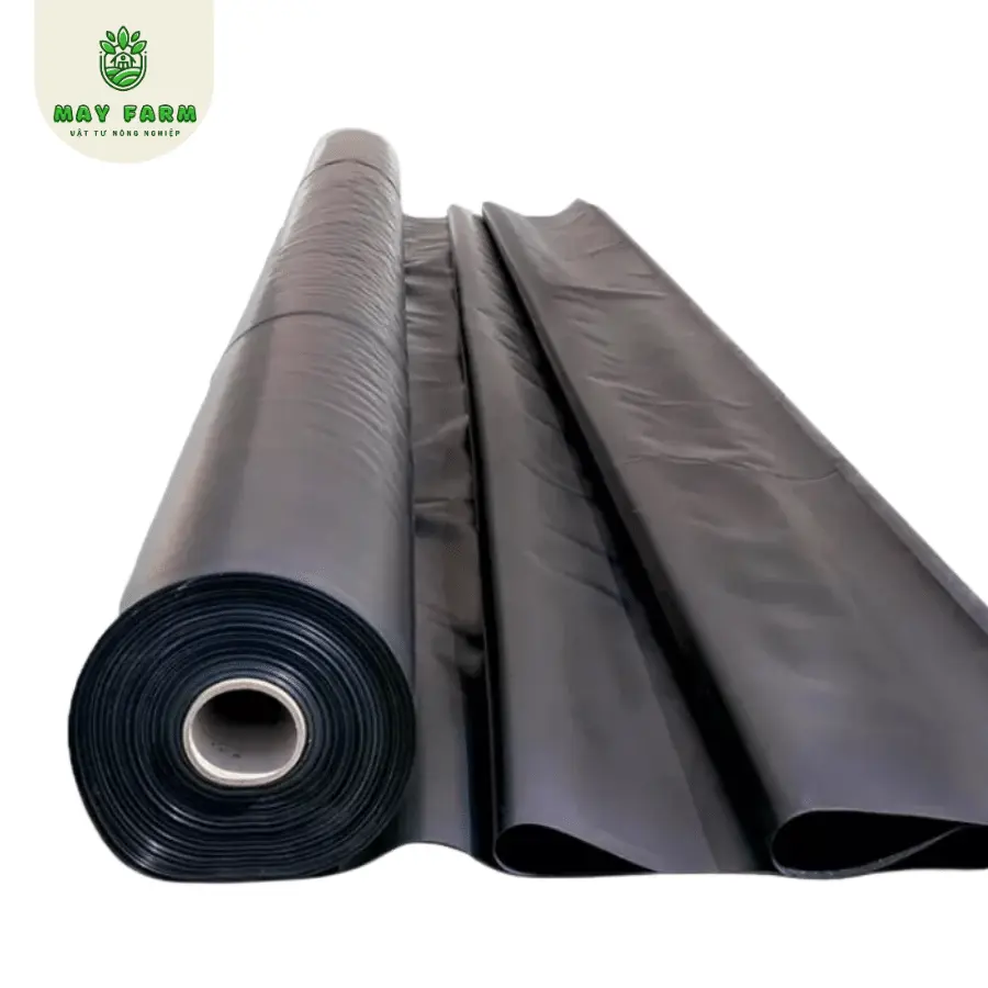 Màng Chống Thấm HDPE - Giải Pháp Vững Bền Cho Mọi Công Trình