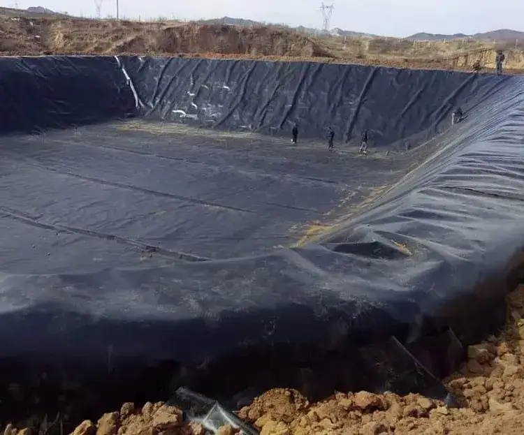 Màng Chống Thấm HDPE Gioăng Cao Su - Giải Pháp Vàng Cho Mọi Công Trình