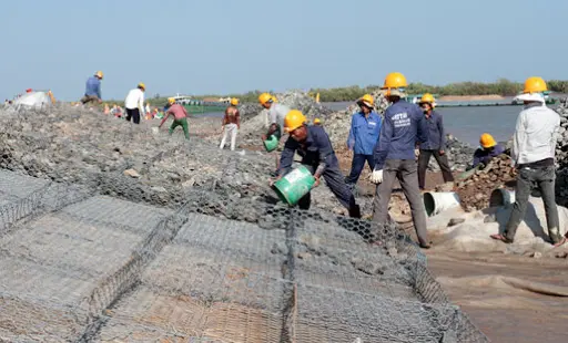 Kiểm Tra Cao Độ Rọ Đá - Nền Tảng Vững Chắc Cho Công Trình