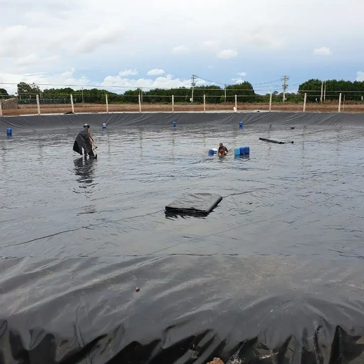 Màng HDPE Yêu Cầu – Sửa Chữa Hàn Vá Đúng Kỹ Thuật