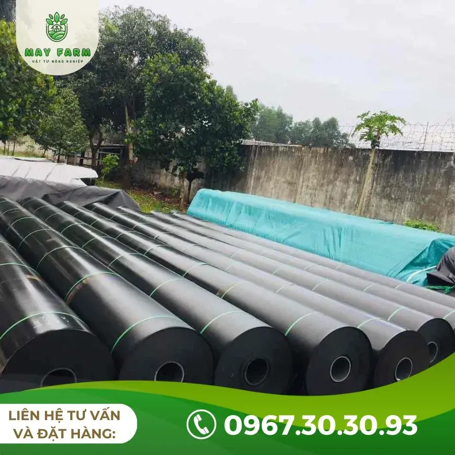 Thi công màng HDPE Nẹp Định Vị - Bền Vững Cho Mọi Công Trình