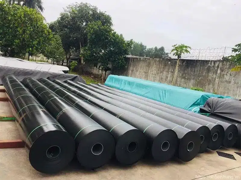 Màng HDPE Bê Tông - Giải Pháp Vàng Cho Công Trình Vững Bền
