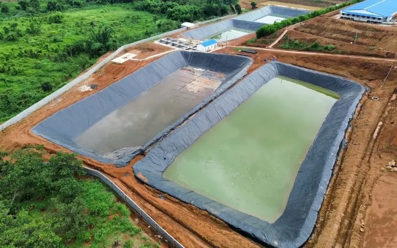 Màng HDPE Bê Tông - Giải Pháp Vàng Cho Công Trình Vững Bền