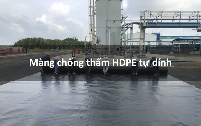 Màng HDPE Bê Tông - Giải Pháp Vàng Cho Công Trình Vững Bền
