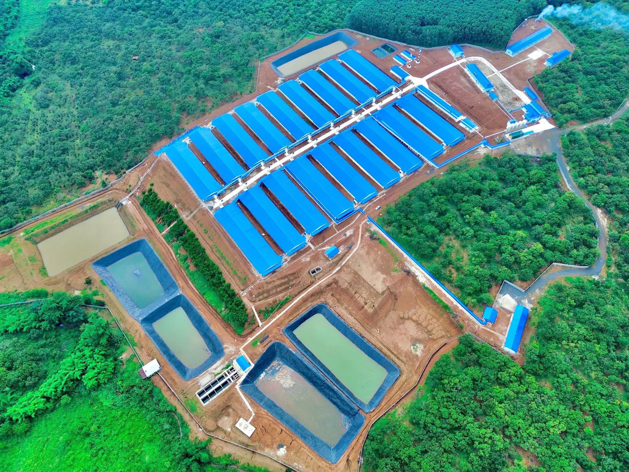 Màng HDPE Ngăn Thẩm Thấu Chất Ô Nhiễm - Giải Pháp Xanh Cho Tương Lai