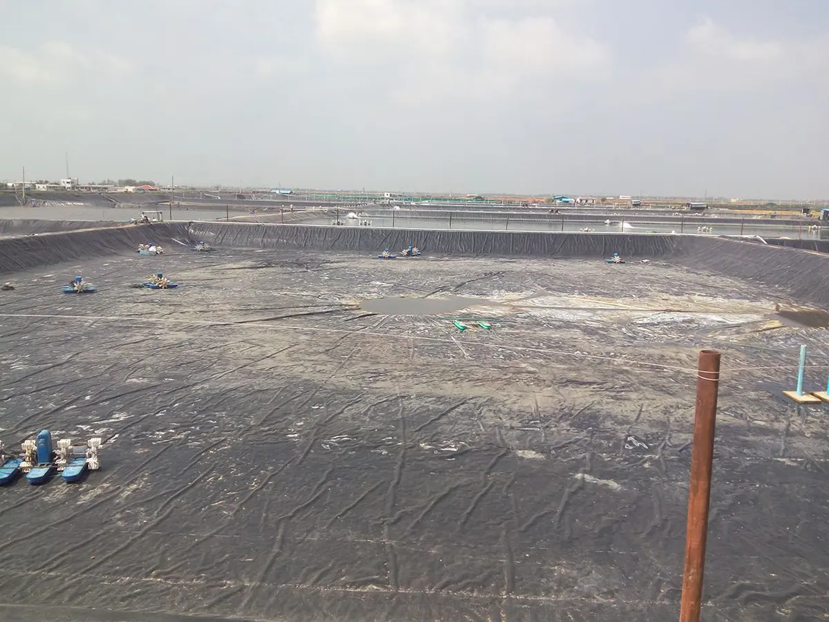 Màng chống thấm HDPE - Giải pháp vàng cho Kênh thủy lợi bền vững