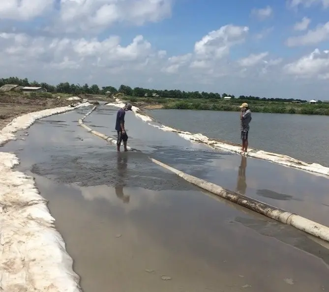 Giá vải địa kỹ thuật TS50 và ứng dụng của nó