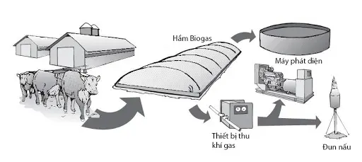 Màng Chống Thấm HDPE Làm Hầm Biogas - Giải Pháp Hiệu Quả Và Bền Vững Cho Tương Lai