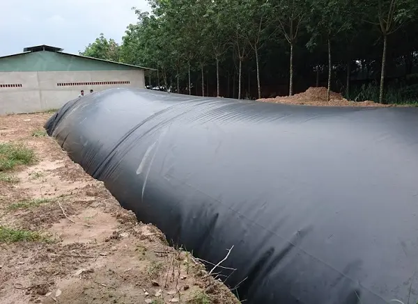 Màng Chống Thấm HDPE Làm Hầm Biogas - Giải Pháp Hiệu Quả Và Bền Vững Cho Tương Lai