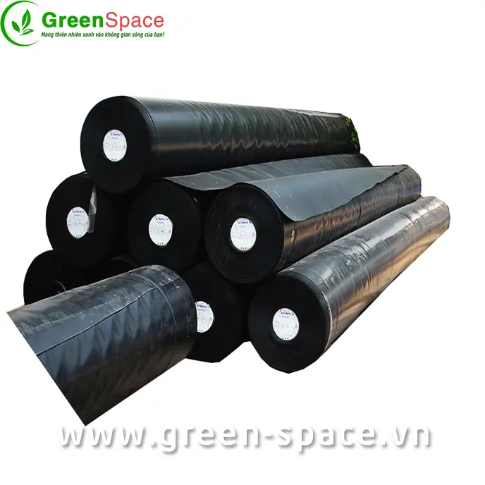 Màng Chống Thấm HDPE Làm Hầm Biogas - Giải Pháp Hiệu Quả Và Bền Vững Cho Tương Lai