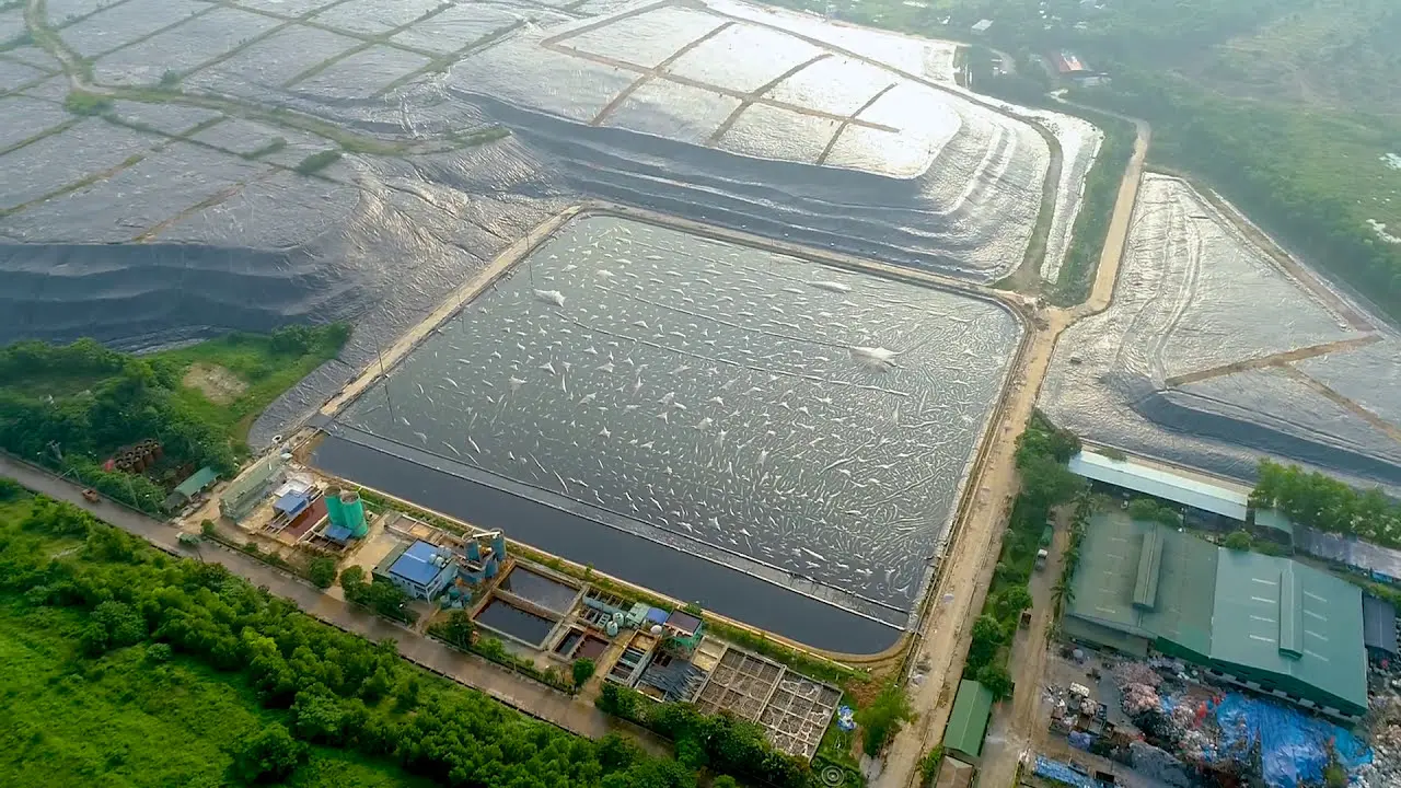 Màng Chống Thấm HDPE Huitex - Giải Pháp Hoàn Hảo Cho Công Trình Bền Vững