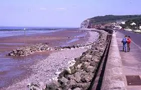 Thiết Kế Vải Địa Kỹ Thuật Không Dệt Trong Công Trình Chống Xói Mòn - Giải Pháp Hiệu Quả Cho Nông Nghiệp và Cơ Sở Hạ Tầng