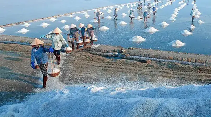 Cách Mạng Trắng Tương Lai Của Ngành Muối Với Lót Bạt Ruộng Muối