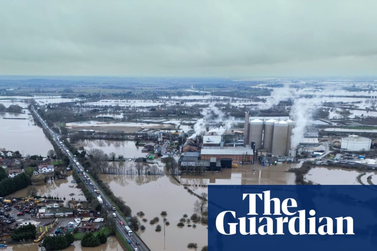 Aviva Defends Climate Goals Amidst Net-Zero Backlash