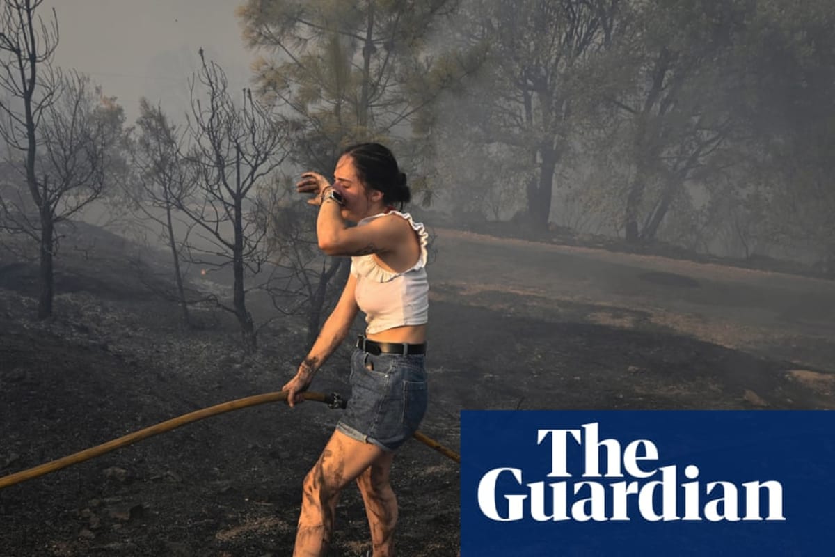 Spain's Wildfires: A Climate Emergency's Grim Toll