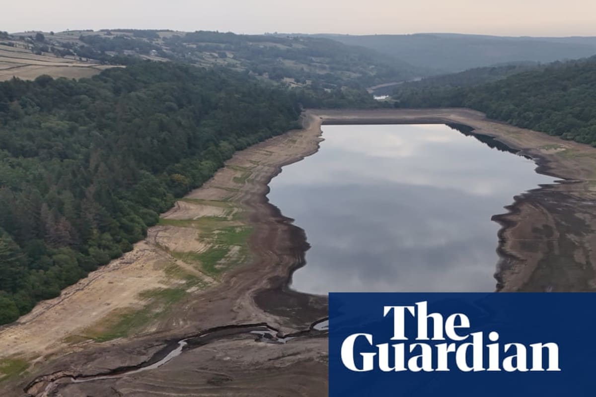 UK's Hottest Summer: Climate Change's Devastating Impact
