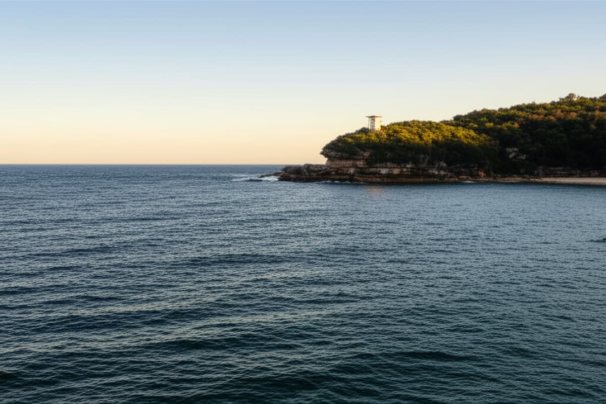 Sydney Shark Attack: Man Dies Near Dee Why Beach