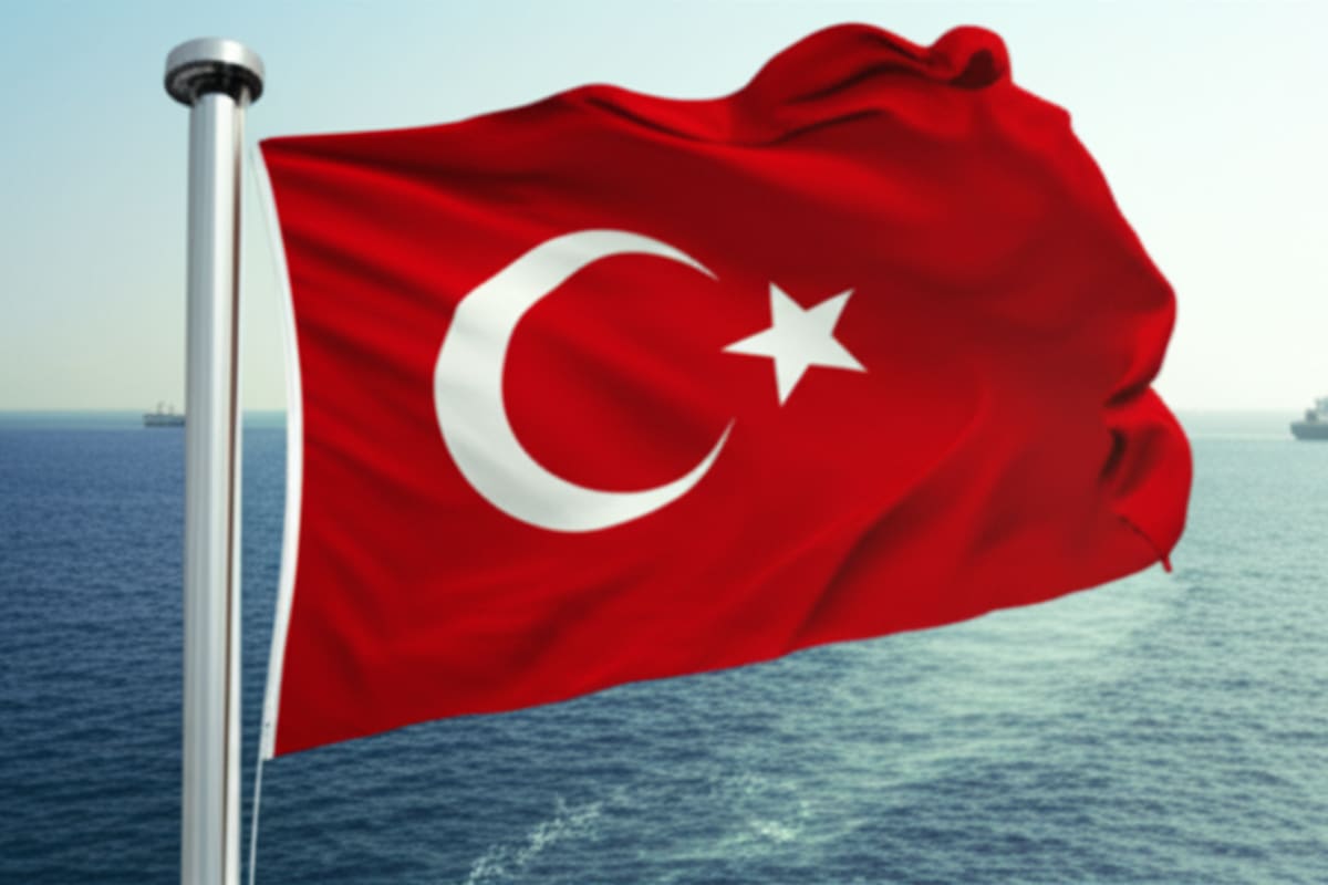 Turkey Welcomes Citizens After Gaza Aid Flotilla Interception Incident