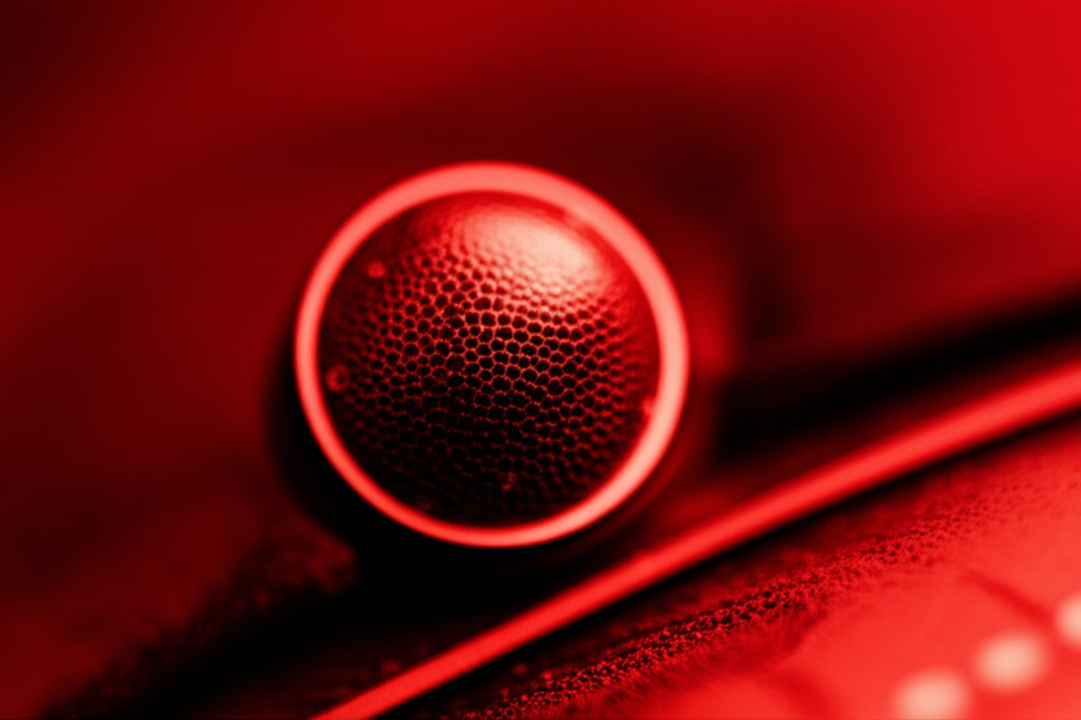 When a Frog Balloon Faced Down Feds: American Politics' Absurdist Turn