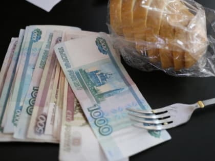 В Саранске ритуальщик купил на чужие деньги алкоголь и закуску