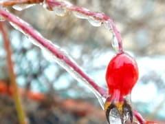 Это только начало: синоптики предупреждают о мощной оттепели и ледяных дождях
