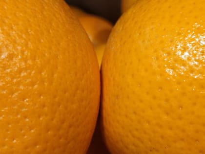 Можно ли ускорить метаболизм с помощью продуктов