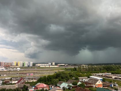 Ночь на 25 июня в Мордовии стала самой холодной с начала лета