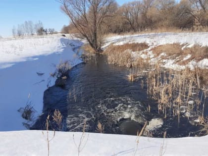Села и поселки городского округа Саранск подтапливает талыми водами