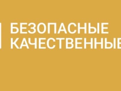 В Мордовии реализуются мероприятия по снижению смертности при дорожно-транспортных происшествиях