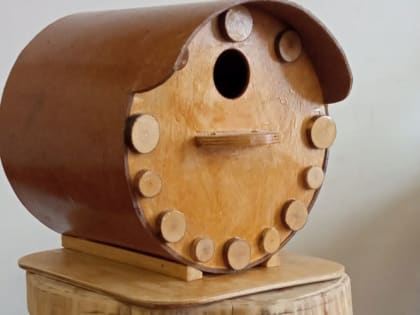 В Мордовии участники конкурса «Пернатый квартал» не перестают удивлять своей фантазией