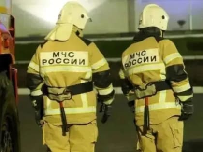 На пожаре в Мордовии погибла 77-летняя женщина 