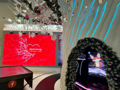 Тысячи тюльпанов как символ мужества: Выставка 