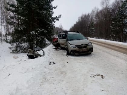 В Мордовии в лобовом столкновении «Рено» и «Калины» пострадали два человека