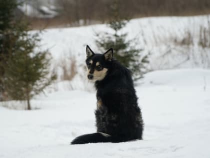 Синоптики рассказали о погоде в Мордовии в начале рабочей недели