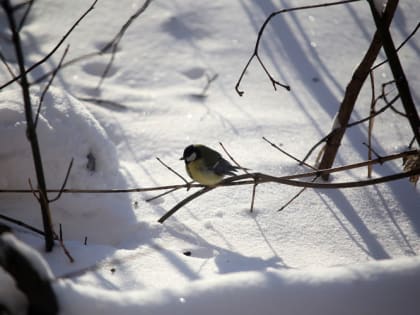 Синоптики предупреждают о коренной перестройке погоды