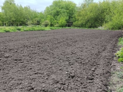 Польза осенней перекопки дачного участка