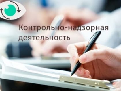 Организация и информационное обеспечение муниципального контроля на территории городского округа Саранск