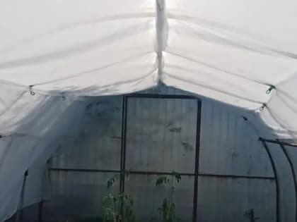 Подготовка теплицы к зиме: советы специалистов