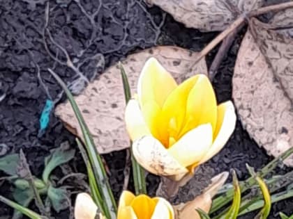 В выходные жителей Мордовии ждут температурные качели