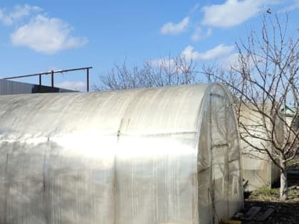 Обработайте весной сад так и болезни с вредителями будут не страшны