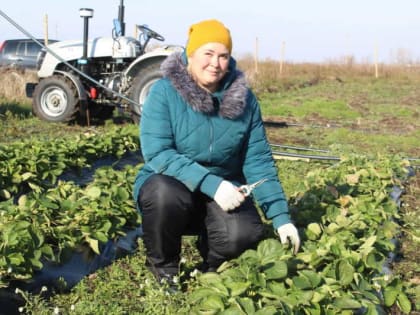Мордовский характер: фермерские хроники, или вести с мордовских полей