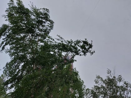 В Мордовии на 6 мая объявлено оперативное предупреждение