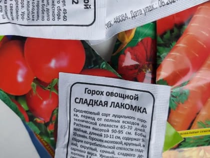 Эксперты рассказали, о чем говорит информация на пачках с семенами