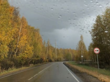 12 ноября в Мордовии ожидается дождь и до +8