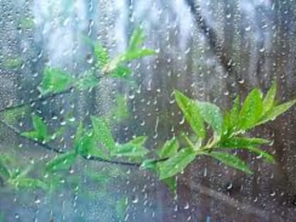 В Саранске объявлено оперативное предупреждение