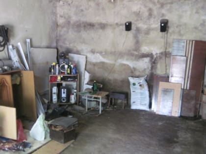 Пойманными в Саранске гаражными ворами оказались соседи по камере 