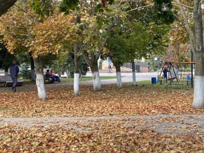 Когда придет осень: синоптики озвучили прогноз