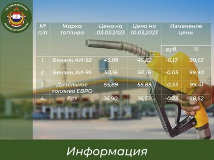 В Мордовии за неделю снизилась цена на бензин